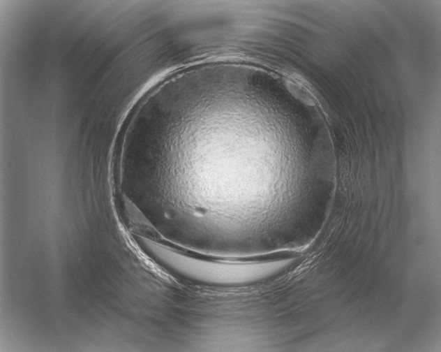 X0000053101142200507251624