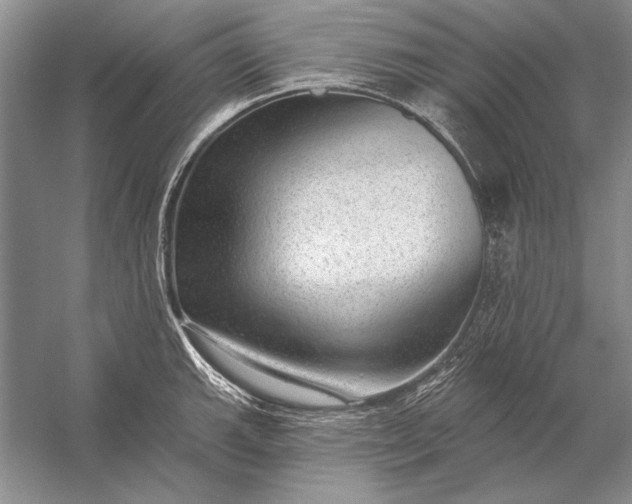 X0000053101143200507251624