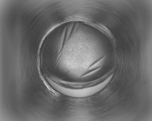 X0000053101144200507251624