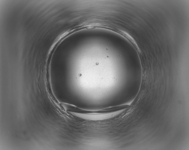 X0000053101146200507251624