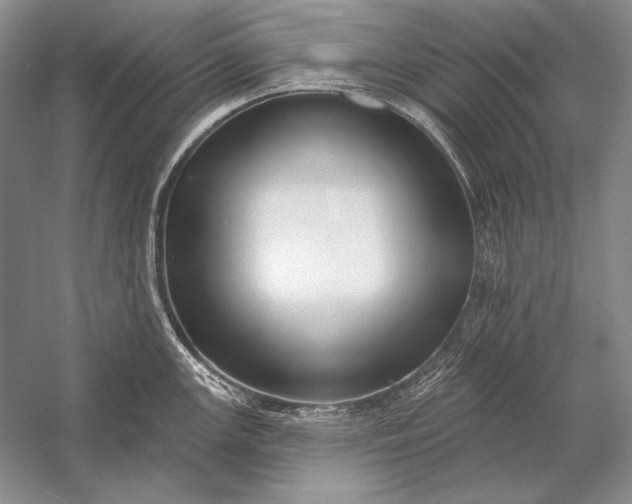 X0000053101147200507251624