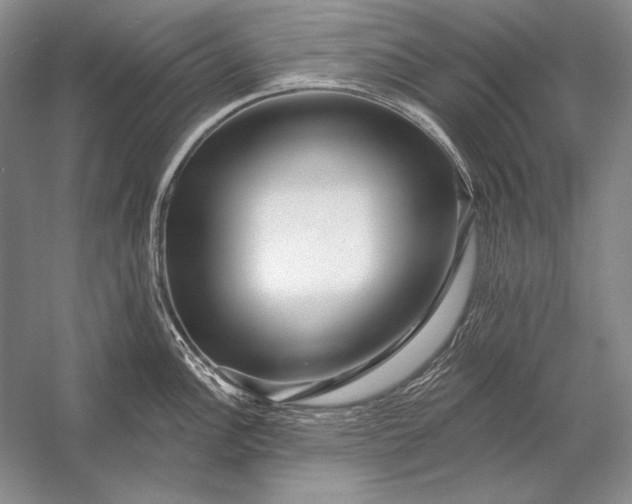 X0000053101148200507251624