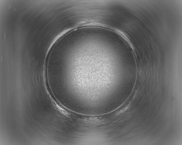 X0000053101149200507251624