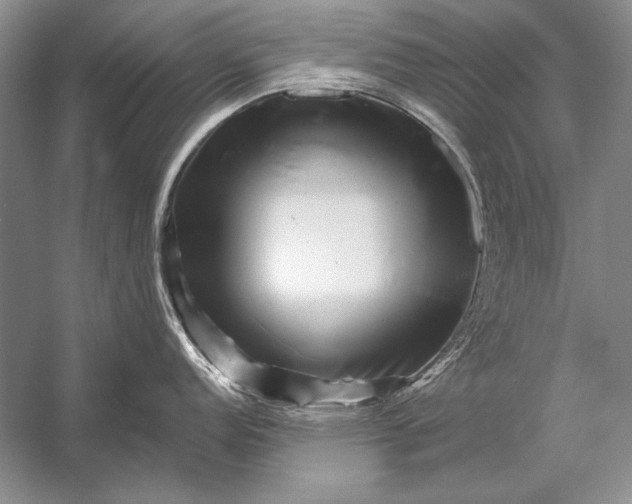 X0000053101152200507251624