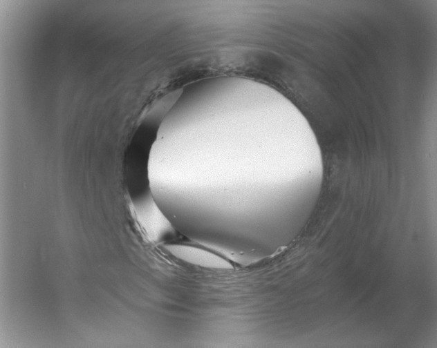 X0000053101153200507251623