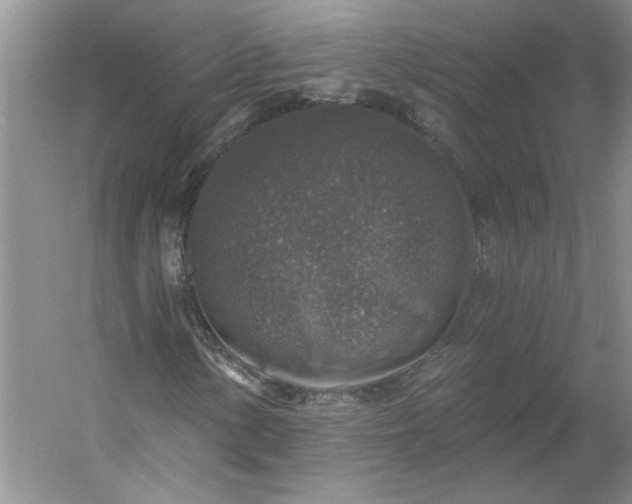 X0000053101154200507251623