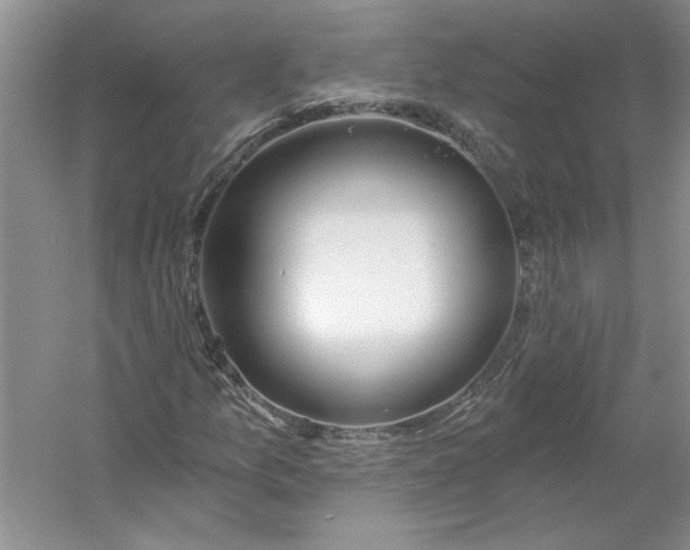 X0000053101157200507251623