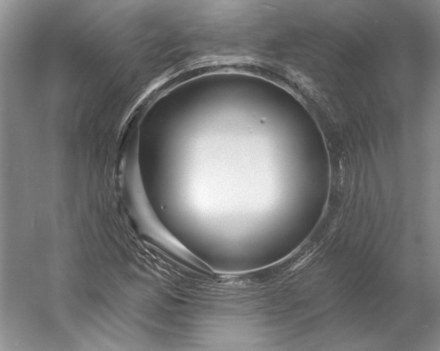 X0000053101165200507251623