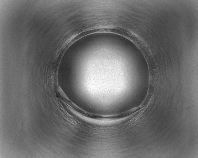 X0000053101169200507251623