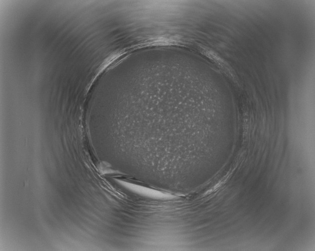 X0000053101170200507251623