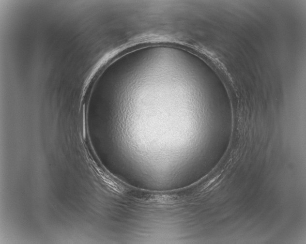 X0000053101175200507251623