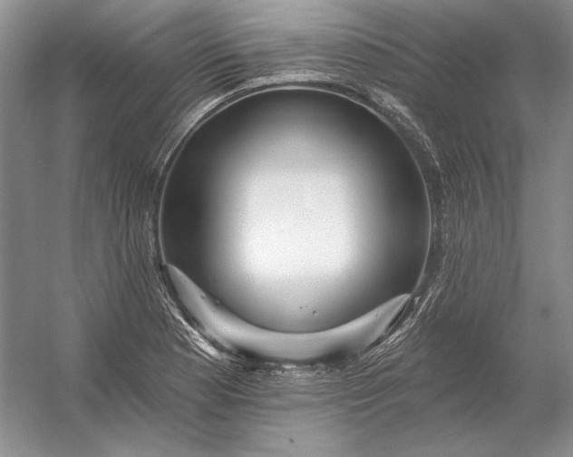 X0000053101177200507251623