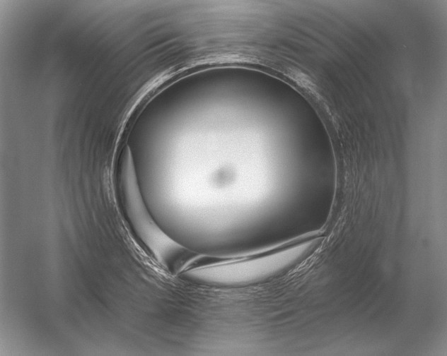 X0000053101181200507251623