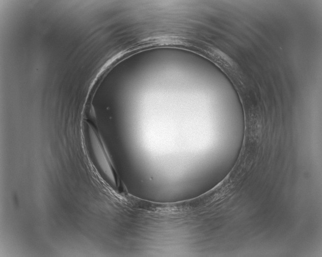 X0000053101182200507251623