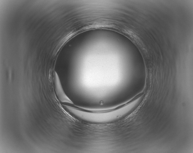 X0000053101185200507251623