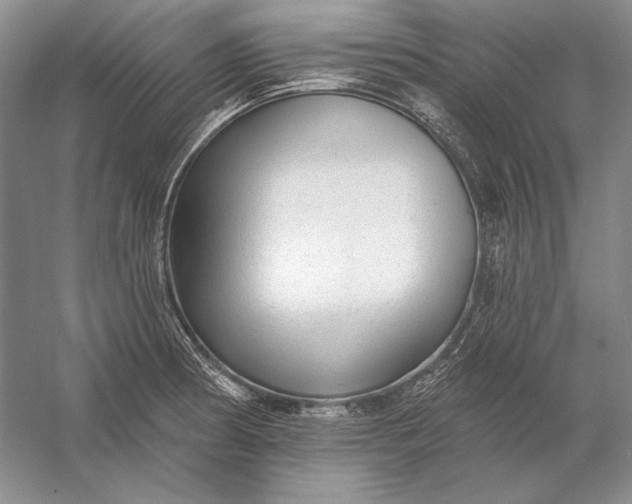 X0000053101186200507251623