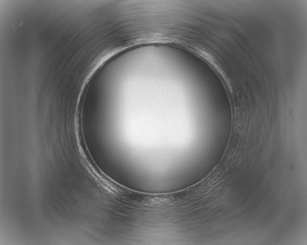 X0000053101187200507251623