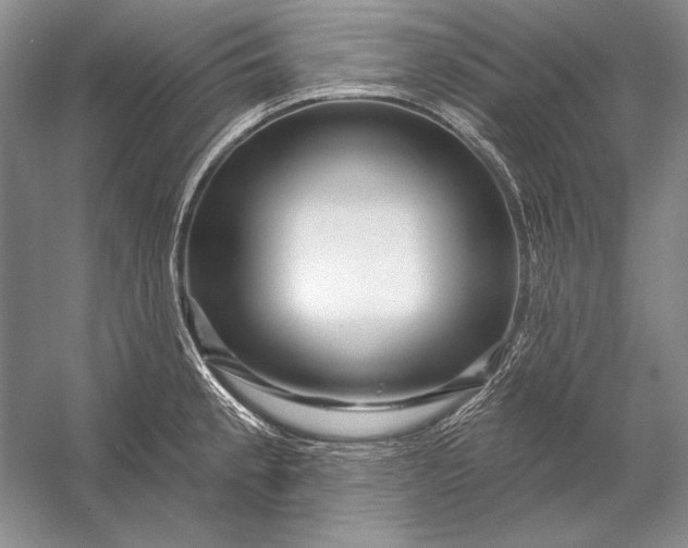 X0000053101189200507251623