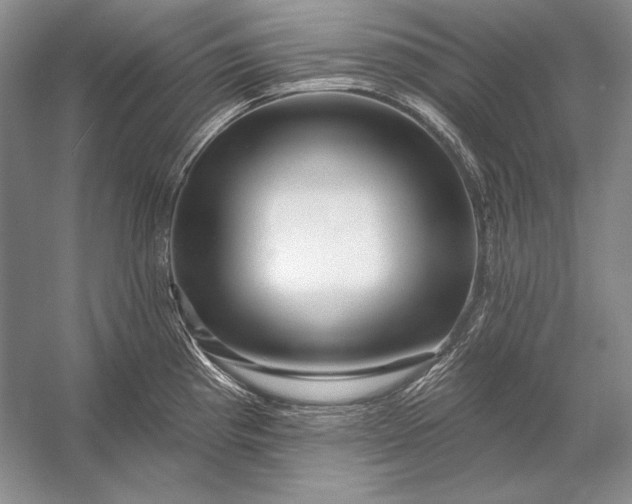 X0000053101193200507251623