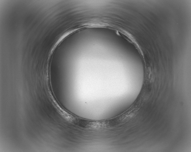 X0000053101195200507251623