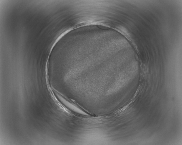 X0000053101198200507251622