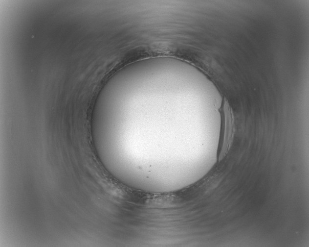 X0000053101201200507251622