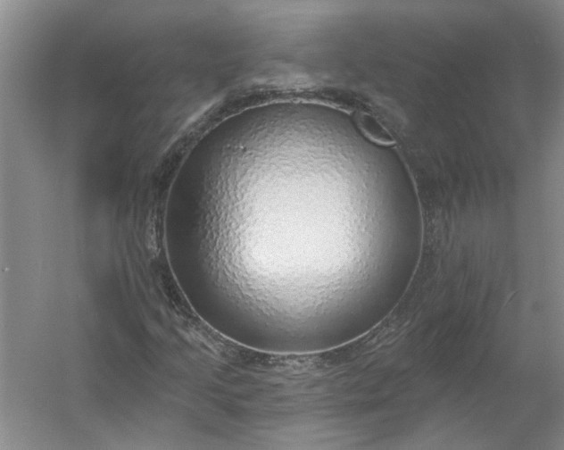 X0000053101205200507251622