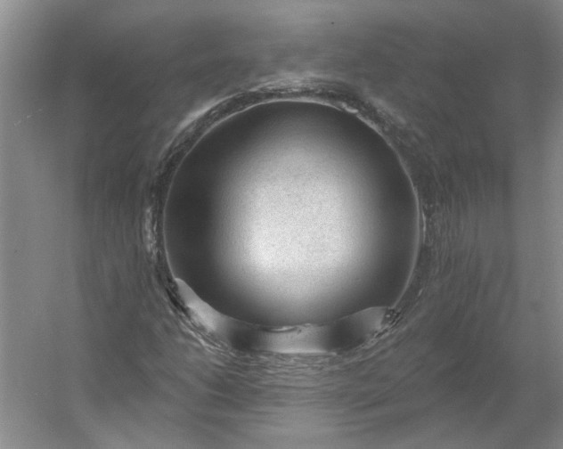 X0000053101206200507251622