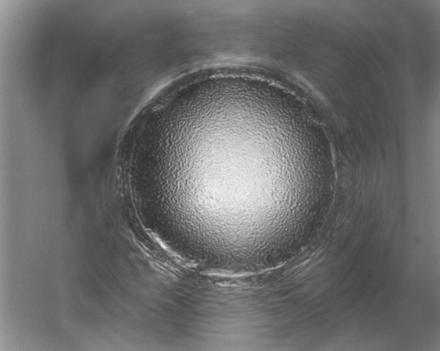 X0000053101208200507251622