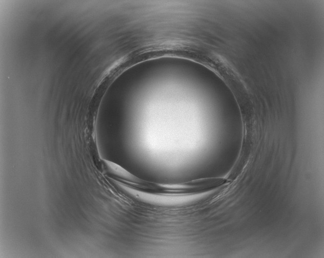 X0000053101210200507251622