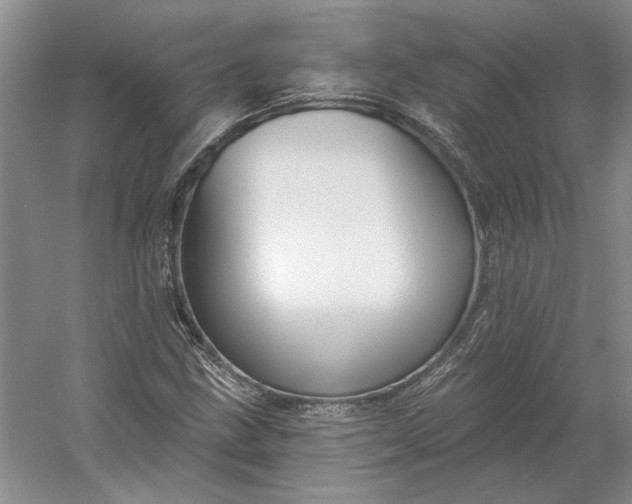 X0000053101211200507251622