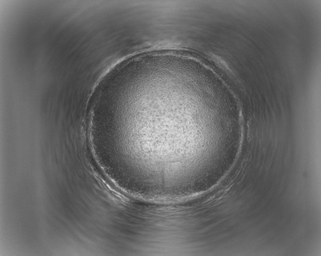 X0000053101212200507251622