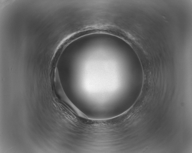 X0000053101214200507251622
