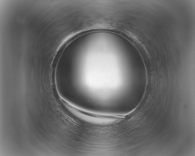 X0000053101222200507251622