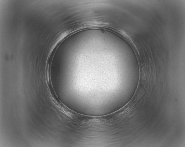 X0000053101227200507251622