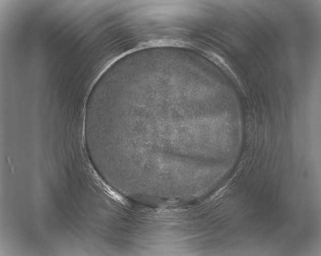 X0000053101228200507251622