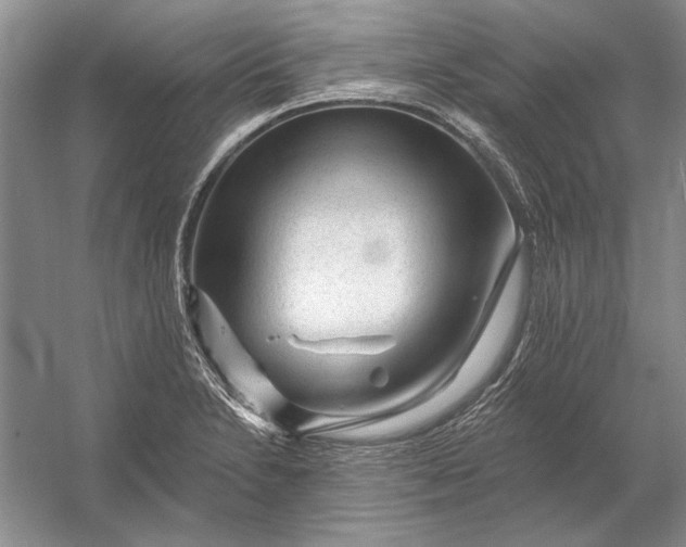 X0000053101230200507251622