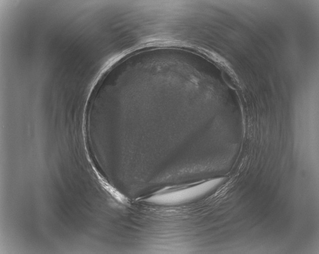 X0000053101231200507251622
