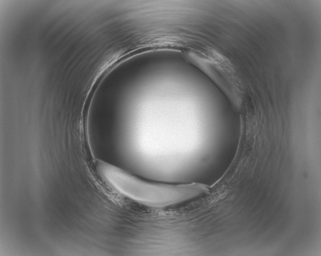 X0000053101234200507251622