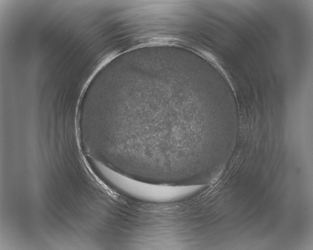 X0000053101235200507251622