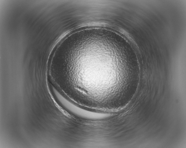 X0000053101237200507251622