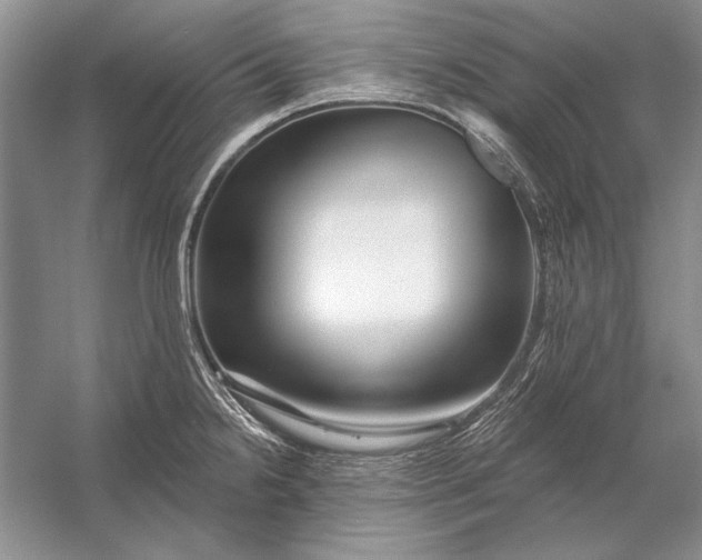 X0000053101238200507251622