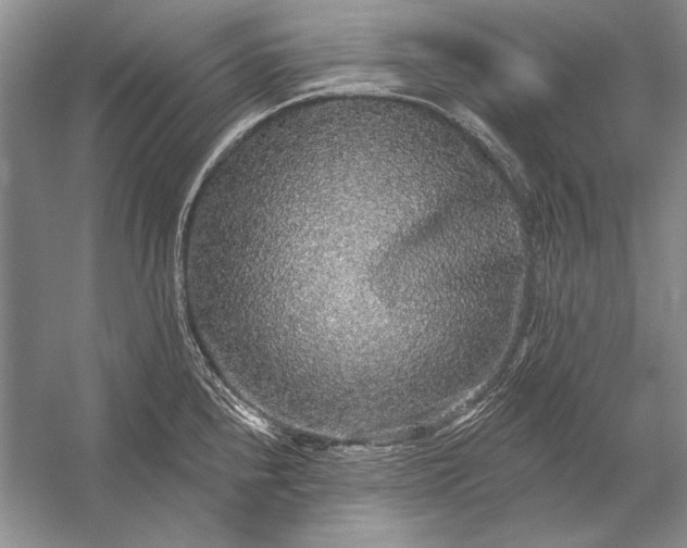 X0000053101240200507251622