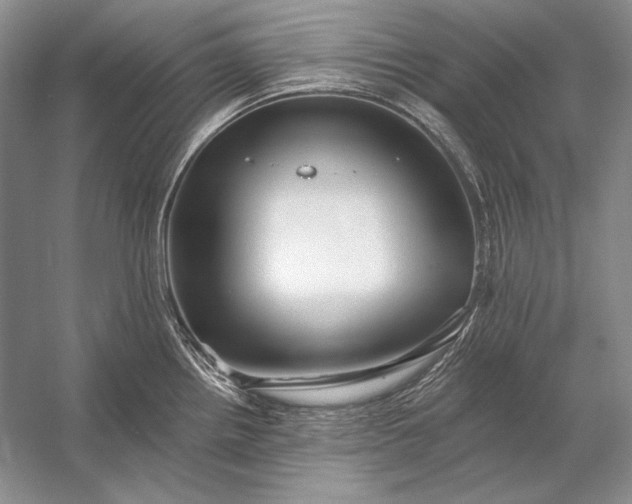 X0000053101242200507251622