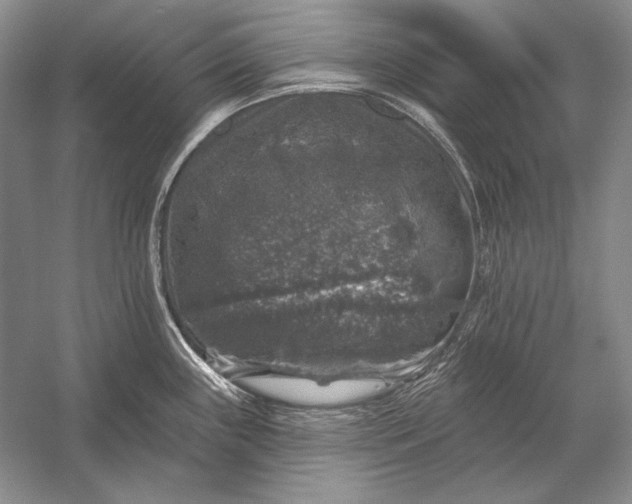 X0000053101243200507251622