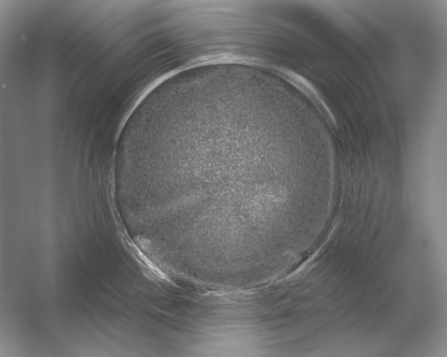 X0000053101244200507251622