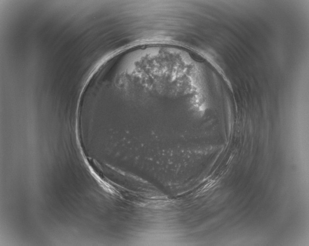 X0000053101245200507251622