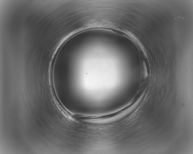 X0000053101246200507251622