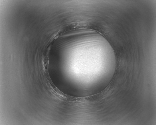 X0000053101250200507251622