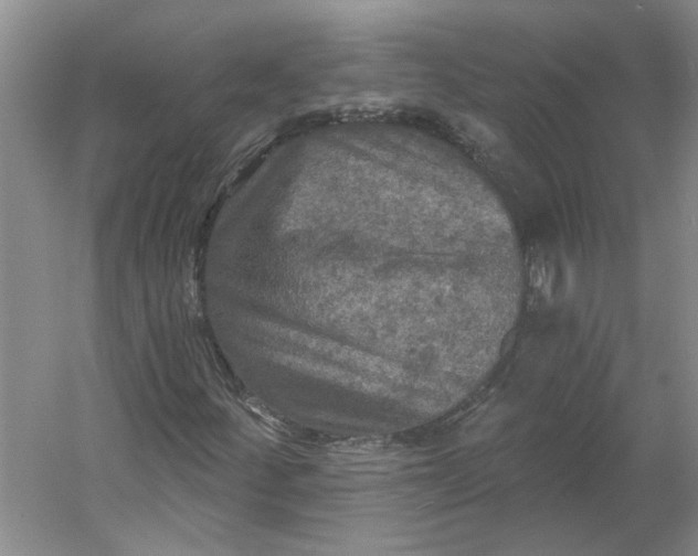 X0000053101252200507251622